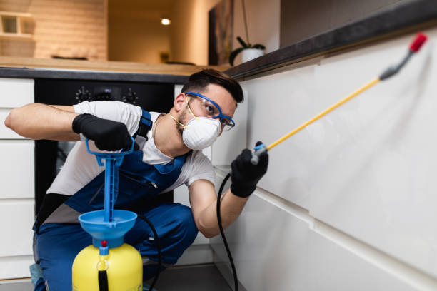 Best Affordable Pest Control Services  in Sunnyside, CA