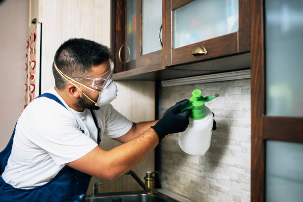 Best Termite Control Services  in Sunnyside, CA