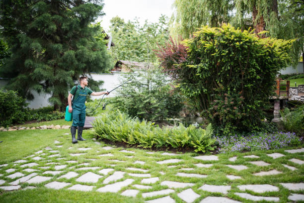 Best Mosquito Control Services  in Sunnyside, CA