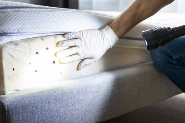 Best Pest Prevention Services  in Sunnyside, CA