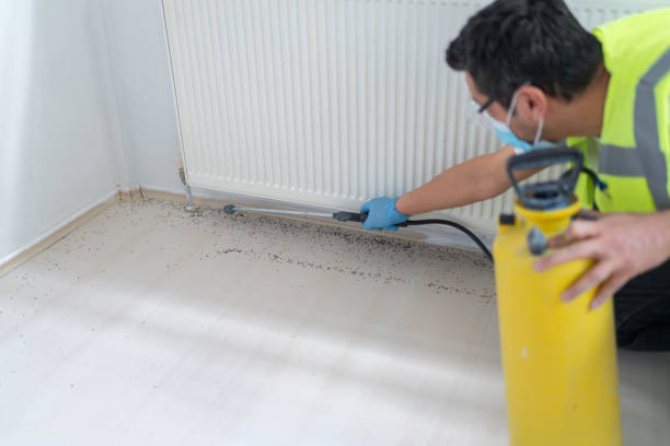 Best Residential Pest Control  in Sunnyside, CA